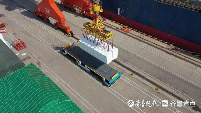 琴岛观澜丨从码头到云端解码全国最大纸浆进口港的自动化之路